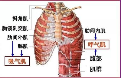 肺炎-呼吸训练器-基层肺功能-脑卒中-心血管病-中风-脑梗-慢阻肺-哮喘-呼吸肌-排痰-肺功能检测仪-赛客