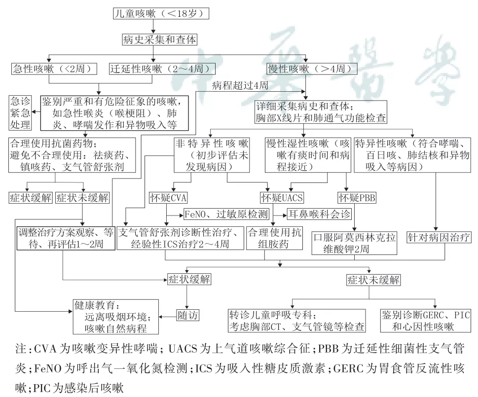 咳嗽-诊疗-指南-儿童-共识-肺通气功能-检查-咳嗽变异性哮喘-哮喘-支气管扩张-上气道咳嗽综合征-吸入性糖皮质激素